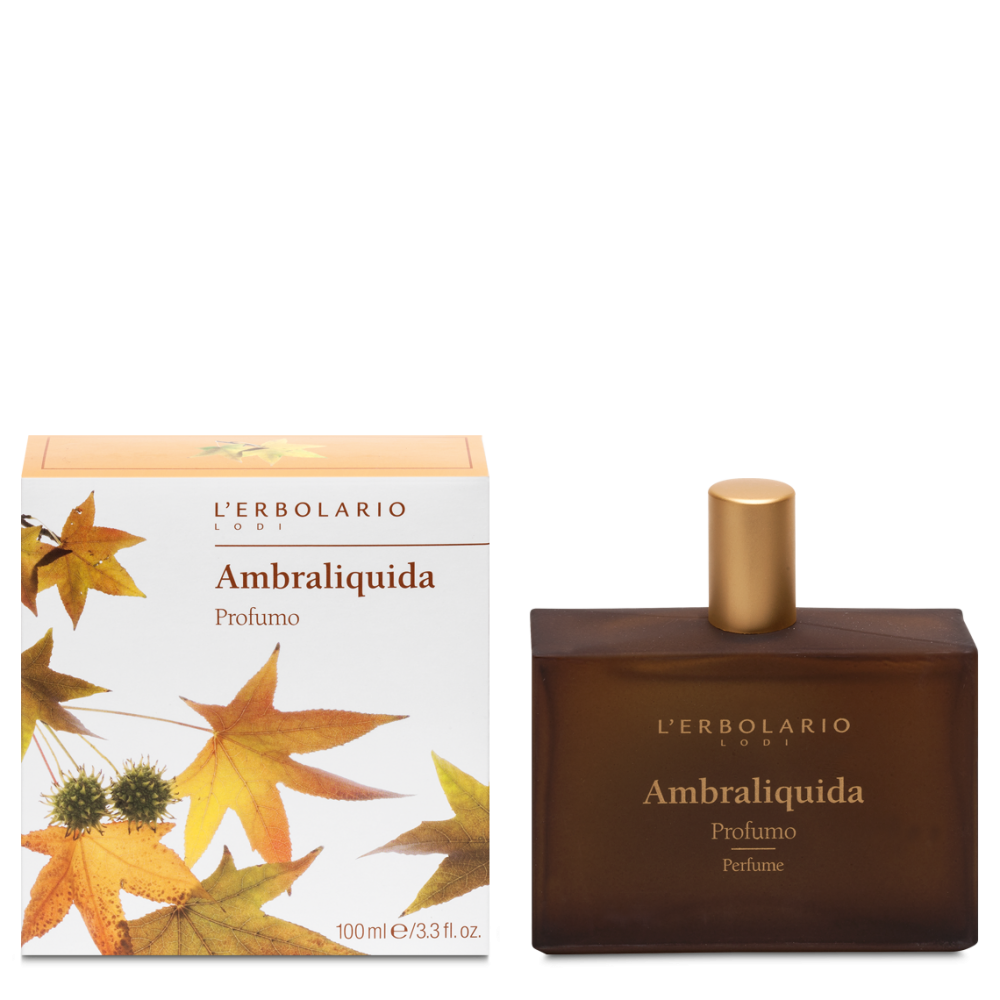 [041.001] Ambraliquida Sapone 100g